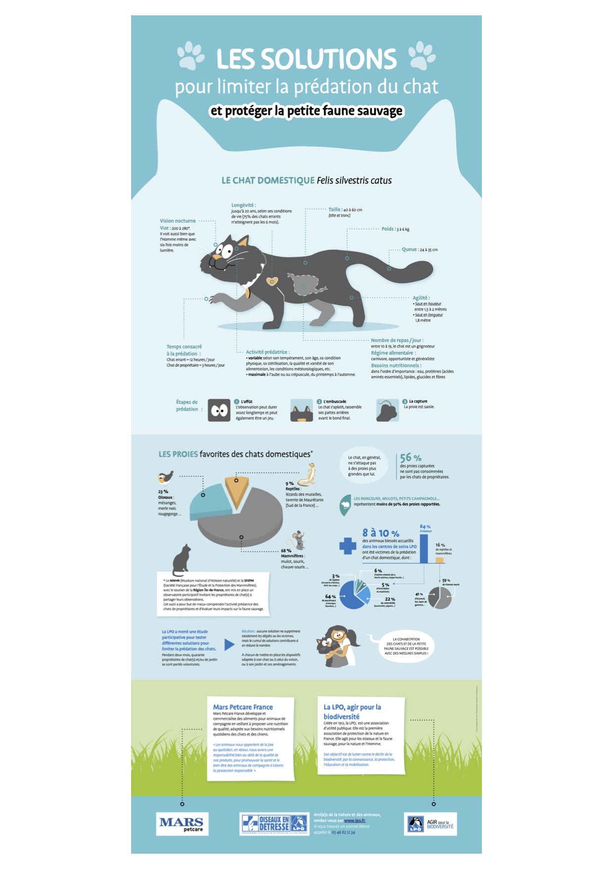 Panneau exposition Les solutions pour limiter la prédation du chat domestique